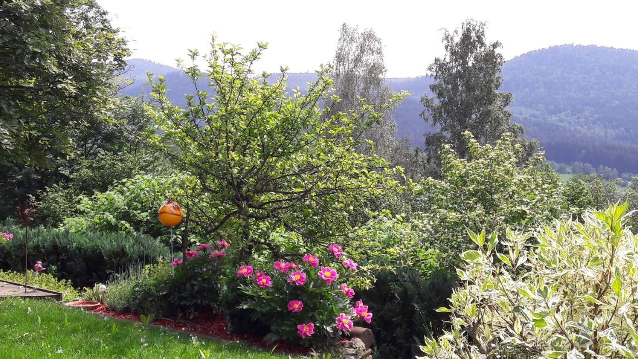 Ferienwohnung-Panoramablick-1 Bodenmais Luaran gambar